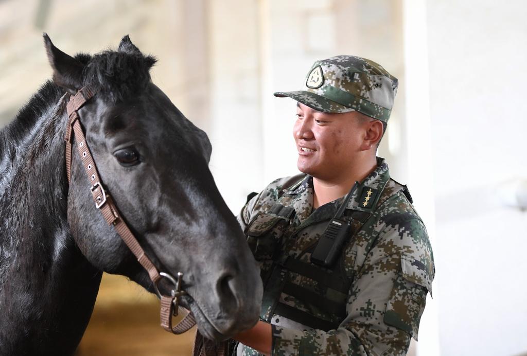 西部战区涵盖的几个省份及其战略重要性，西部战区涵盖省份与战略重要性解析
