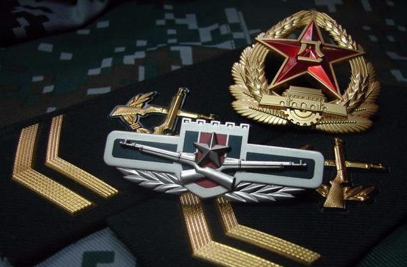 士官资历章一览表九排，荣誉的象征与管理的规范，士官资历章一览表九排，荣誉的象征与规范的管理标准