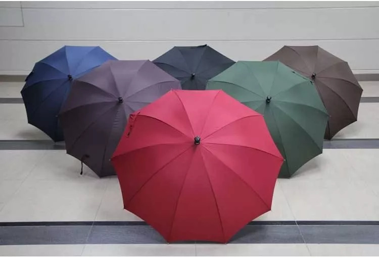 二0二四伞澳门天天好——澳门的美好未来展望，澳门未来展望，二○二四伞澳门天天好展风采