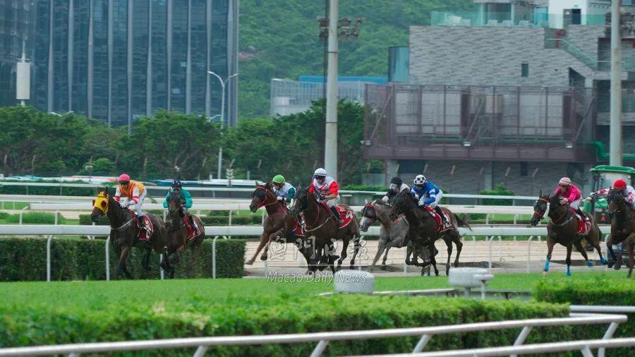 澳门马会传真正版下载,探索未来的机遇与挑战,澳门马会传真正版下载,未来机遇与挑战的探索