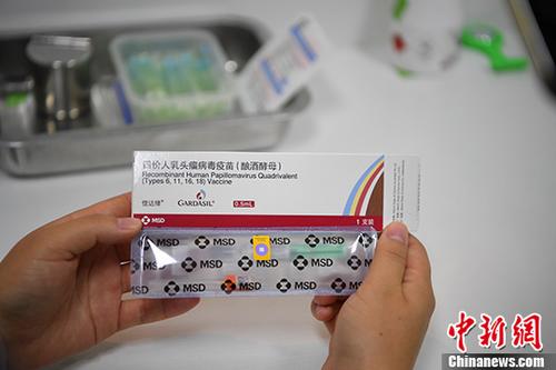 二四六香港管家婆期期准资料大全，深度解析与实用指南，香港管家婆期期准资料深度解析与实用指南