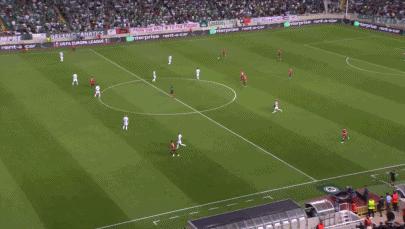 二肖一码，探索与解析，二肖一码，深度探索与解析