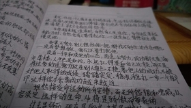 十一月新闻摘抄，科技、社会与经济领域的最新动态，十一月热点速递，科技、社会与经济最新动态摘要