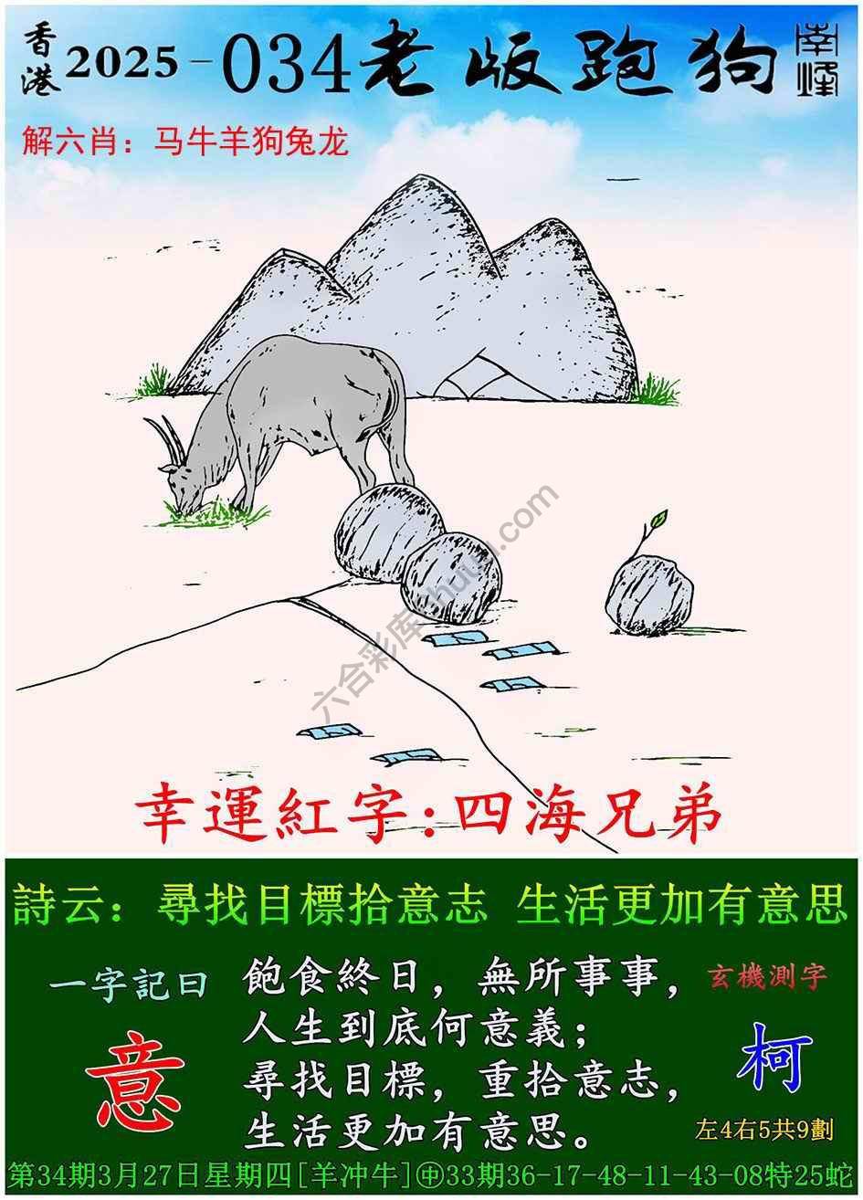 探索精准跑狗图,数字组合的魅力与跑狗图的奥秘,精准跑狗图揭秘,数字组合的魅力和奥秘探索