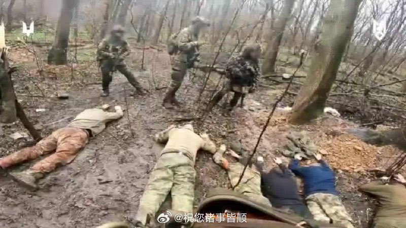 俄乌战争最新进展深度解析,俄乌战争最新进展深度解读与分析