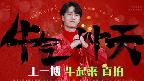 寻找王中王一肖中特，探寻真实与虚幻的交汇点，探寻真实与虚幻交汇点的王中王一肖中特之路