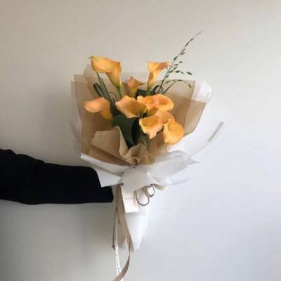 澳门天天彩开奖结果，探索彩票背后的故事与影响，澳门天天彩开奖背后的故事与影响探索