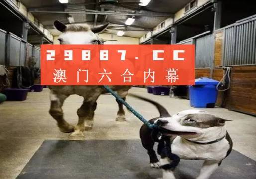 澳门今晚必开一肖一马，探索运气与命运的交织，澳门今晚必开一肖一马，命运与运气的神秘交织