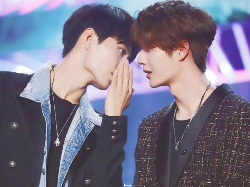 王中王一肖中特亓，探索与解析，王中王一肖中特亓，深度探索与解析