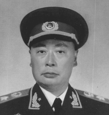 十大元帅谁打仗最厉害排名，历史的回顾与解析，历史的回顾与解析，十大元帅谁打仗最厉害排名揭秘