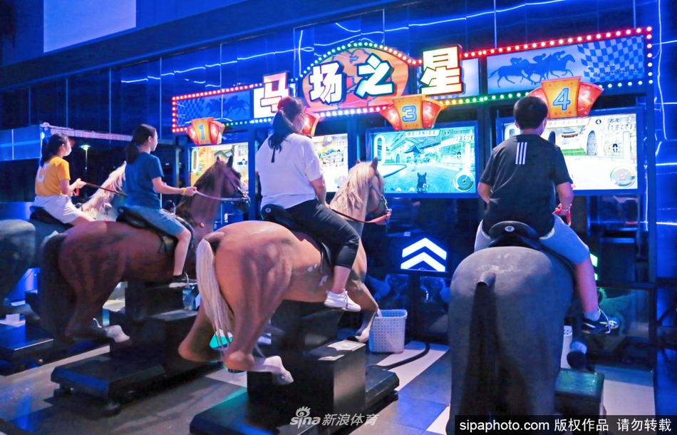 王中王内部必中一肖——揭秘成功的秘密，揭秘王中王内部必中一肖的成功秘诀