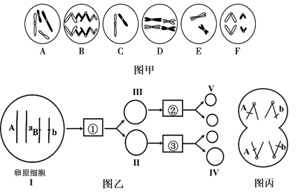 AN分别代表什么,解析与探讨,AN代表何意,深入解析与探讨