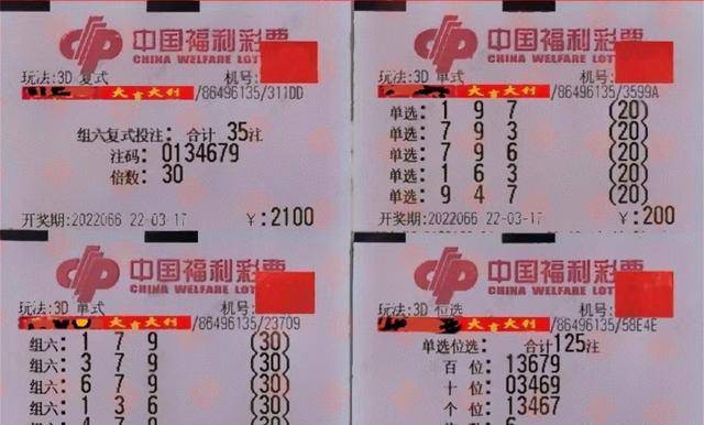 王中王066期指一生肖——探寻生肖文化中的独特魅力，生肖文化独特魅力探寻，王中王066期指一生肖