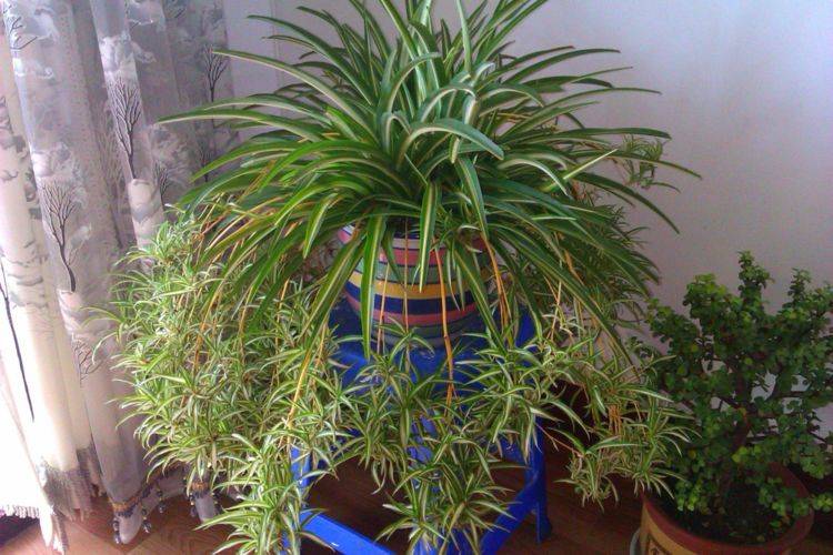 澳门六给彩开奖结果84,探索彩票背后的故事与文化内涵,澳门六给彩开奖结果探索背后的故事与文化内涵,揭秘彩票文化魅力与内涵