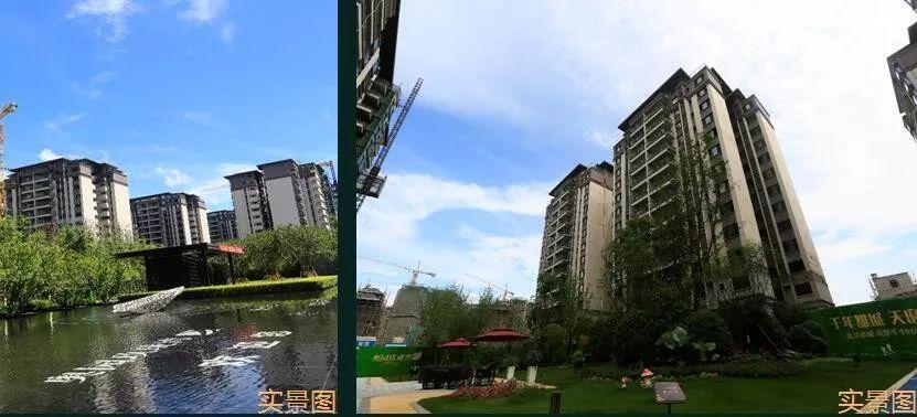 澳门最快开奖资料242，探索与解析，澳门最快开奖资料探索与解析，揭秘背后的秘密