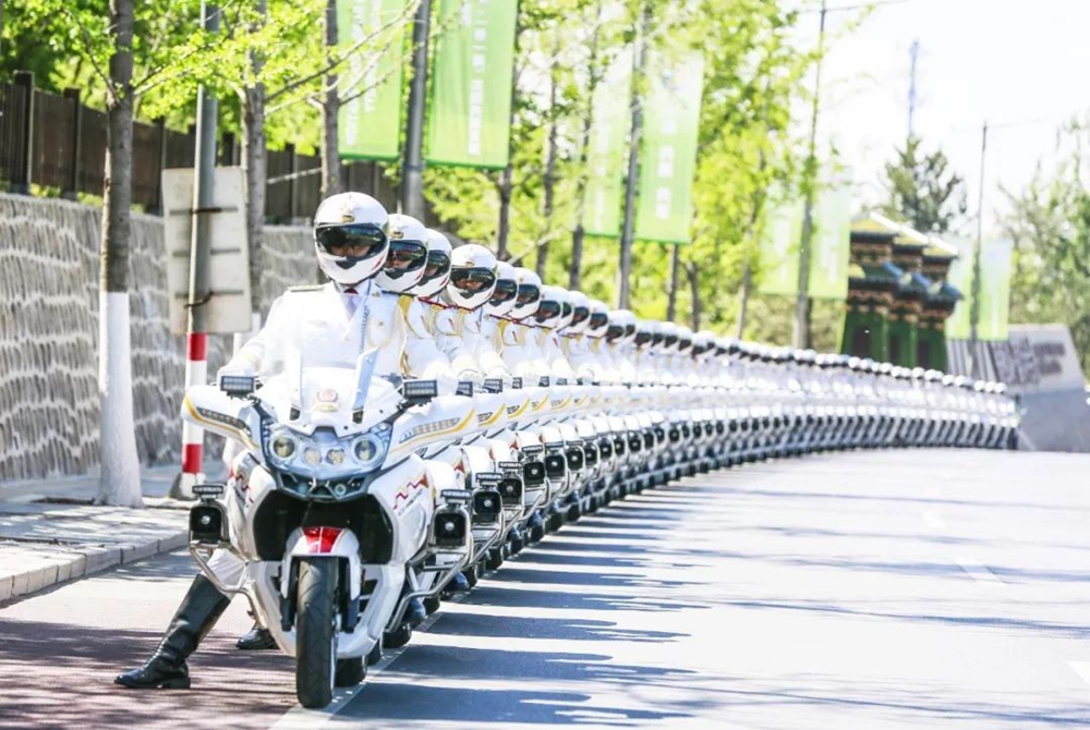 国宾护卫队,实力与荣耀的象征,国宾护卫队,实力与荣耀的典范