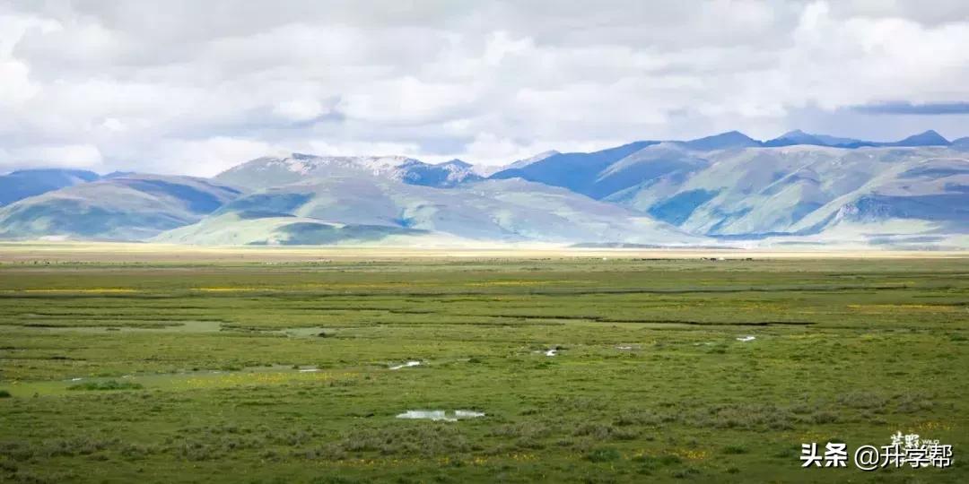 澳门天天开马结果出来第318期,探索彩票背后的故事与文化,澳门彩票第318期背后的故事与文化探索