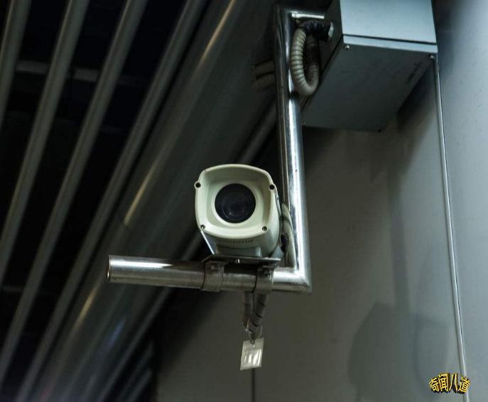 新澳精准资料免费提供的深度解析与实际应用，新澳精准资料深度解析与免费应用指南