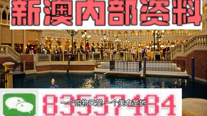 澳门内部资料精准大全2023，澳门内部资料精准大全2023年概览