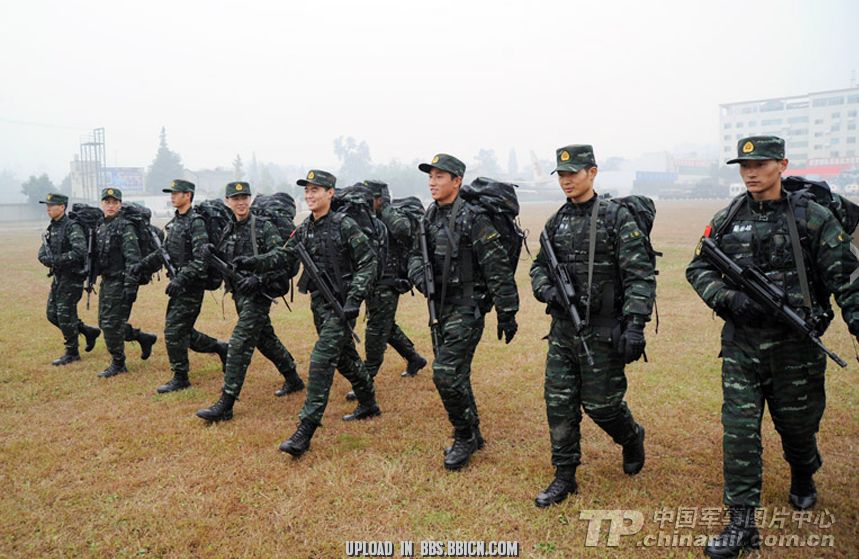 雪豹突击队与武警的关系探讨，雪豹突击队与武警关系深度探讨
