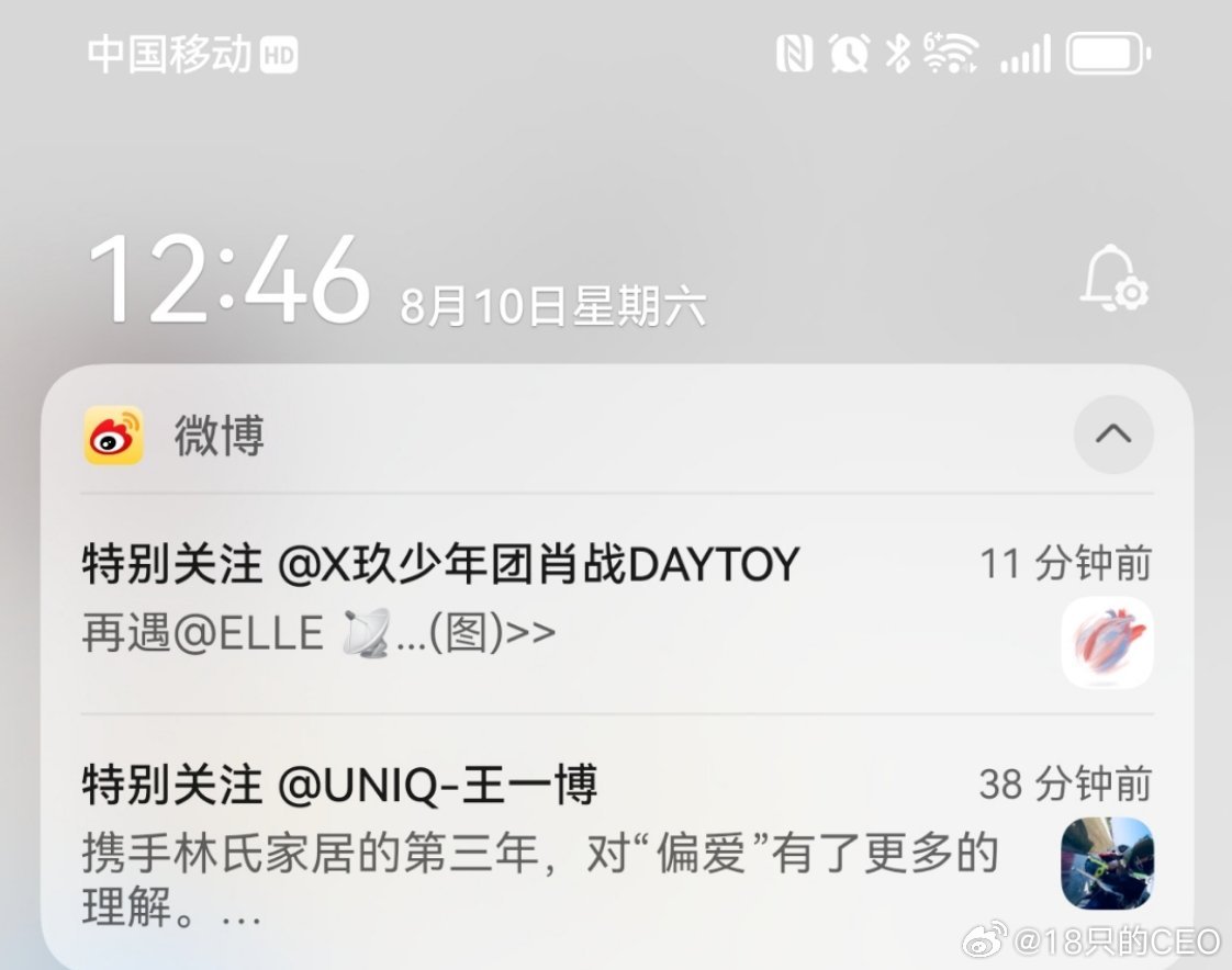 一肖王中王资料详解，一肖王中王资料全面解析