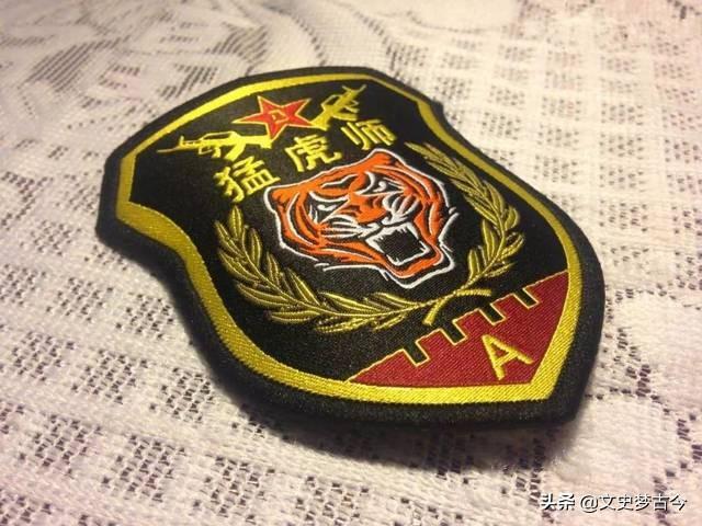 第13集团军臂章,荣耀与使命的象征,第13集团军臂章,荣耀与使命的徽章