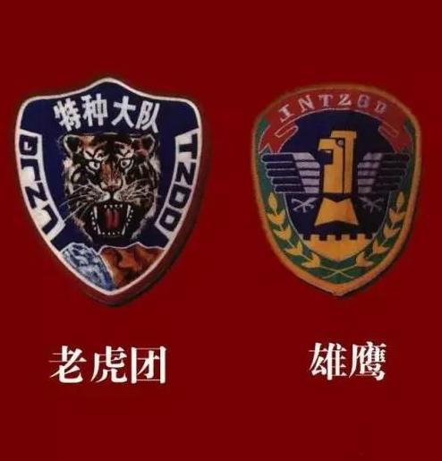 第13集团军臂章,荣耀与使命的象征,第13集团军臂章,荣耀与使命的徽章