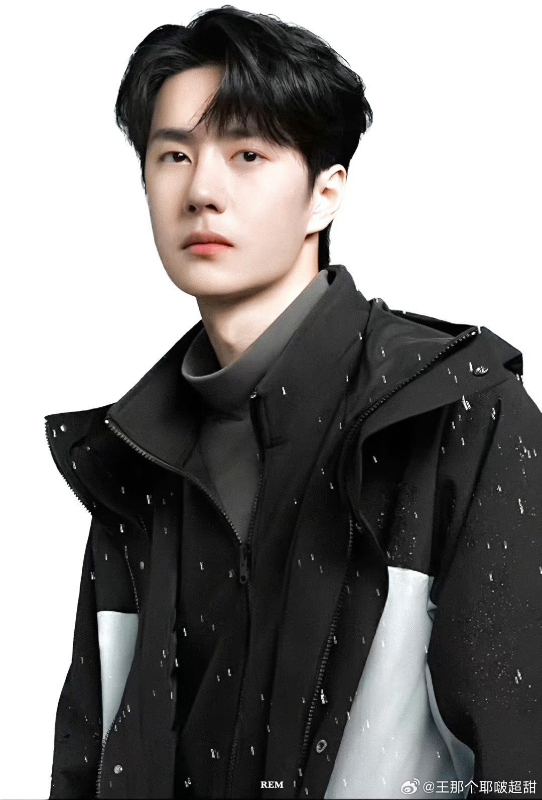 王中王一肖中特03其，探索与解析，王中王一肖中特03其，深度探索与解析