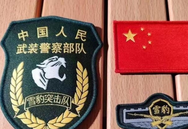 武警雪豹突击队旗,荣耀与使命的象征,武警雪豹突击队旗,荣耀与使命的徽章
