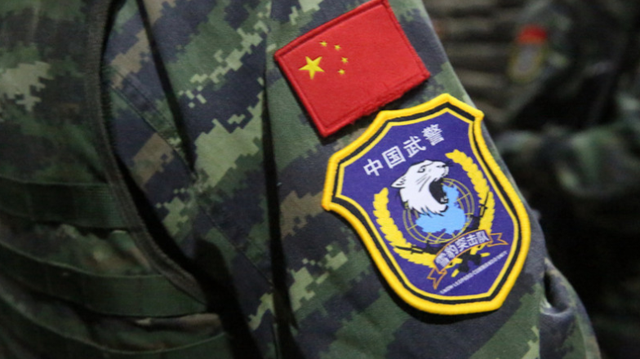 武警雪豹突击队旗,荣耀与使命的象征,武警雪豹突击队旗,荣耀与使命的徽章