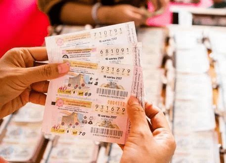 香港免费平特一肖王中王，揭秘彩票预测的魅力与真相，揭秘彩票预测魅力与真相，香港免费平特一肖王中王探讨彩票预测的秘密