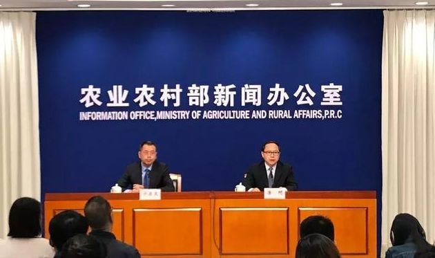 新闻发布会报价详解，策略、技巧与实际操作，新闻发布会报价策略详解，从策略到技巧与实际操作全解析