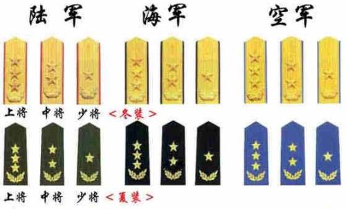 中央首长警卫员级别及其职责与重要性，中央首长警卫员的级别、职责与重要性解析