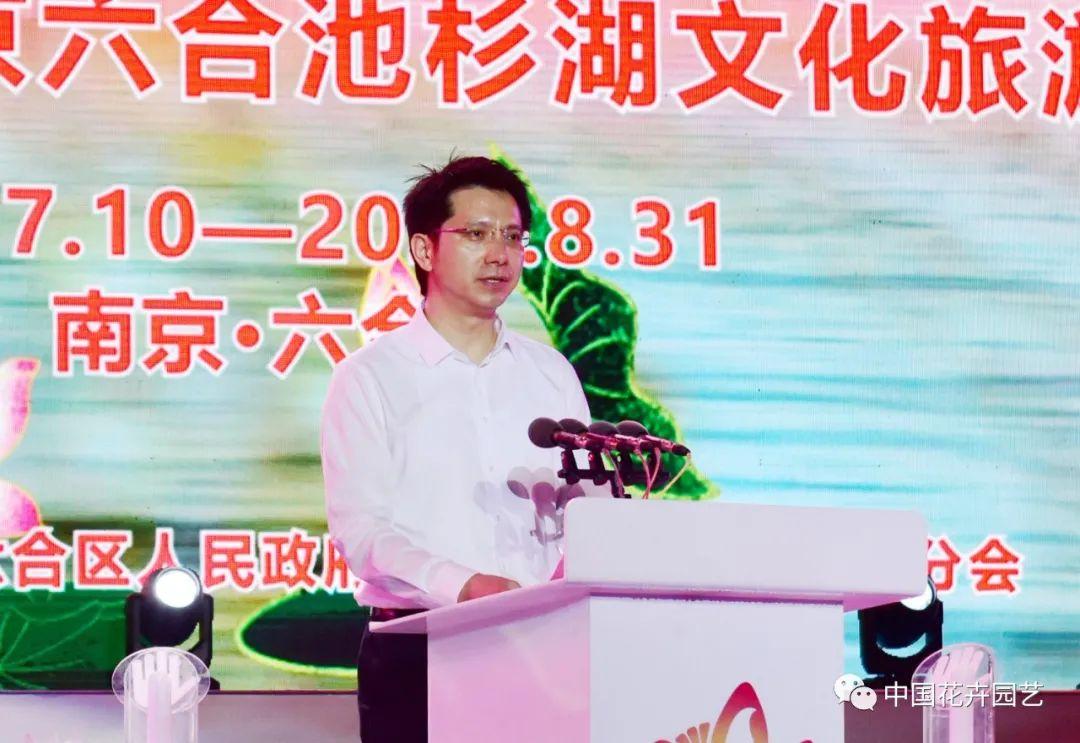 澳门六和开奖结果，探索与解析，澳门六和开奖结果深度解析与探索