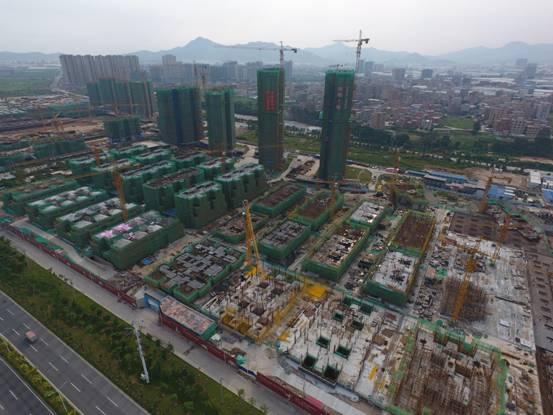 王中王119期一肖中特，揭秘彩票背后的秘密与策略分析，揭秘彩票背后的秘密与策略分析，王中王119期一肖中特研究探讨