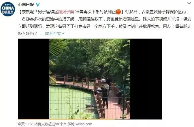 进入环球网工作难吗？探讨求职过程中的挑战与机遇，环球网求职攻略，挑战与机遇的探讨