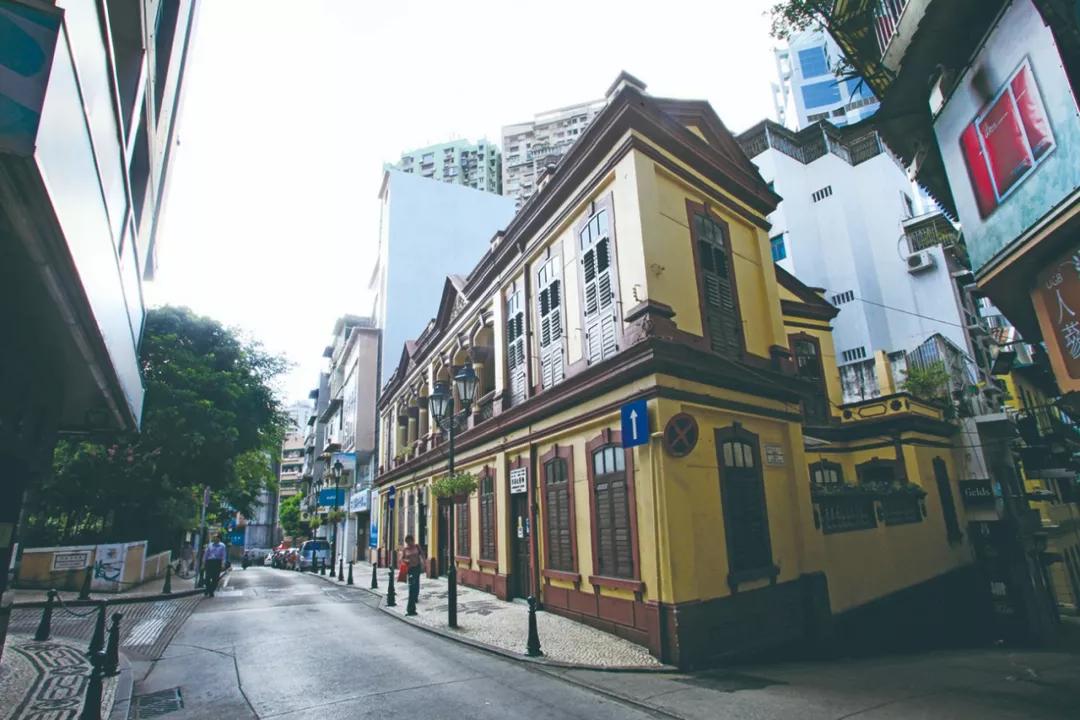 澳门一肖默认网站，探索与解析，澳门一肖默认网站，深度探索与解析