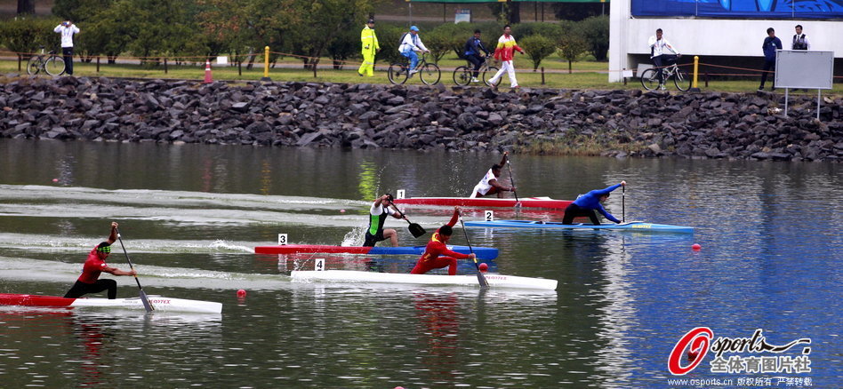 王中王三肖一马期期中，探寻背后的故事与意义，王中王三肖一马期期中，背后的故事与意义探索