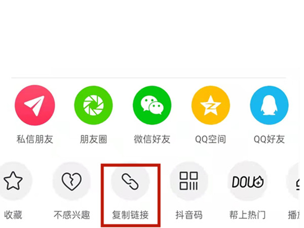 王中王一肖二码网站，探索与解析，王中王一肖二码网站深度解析与探索