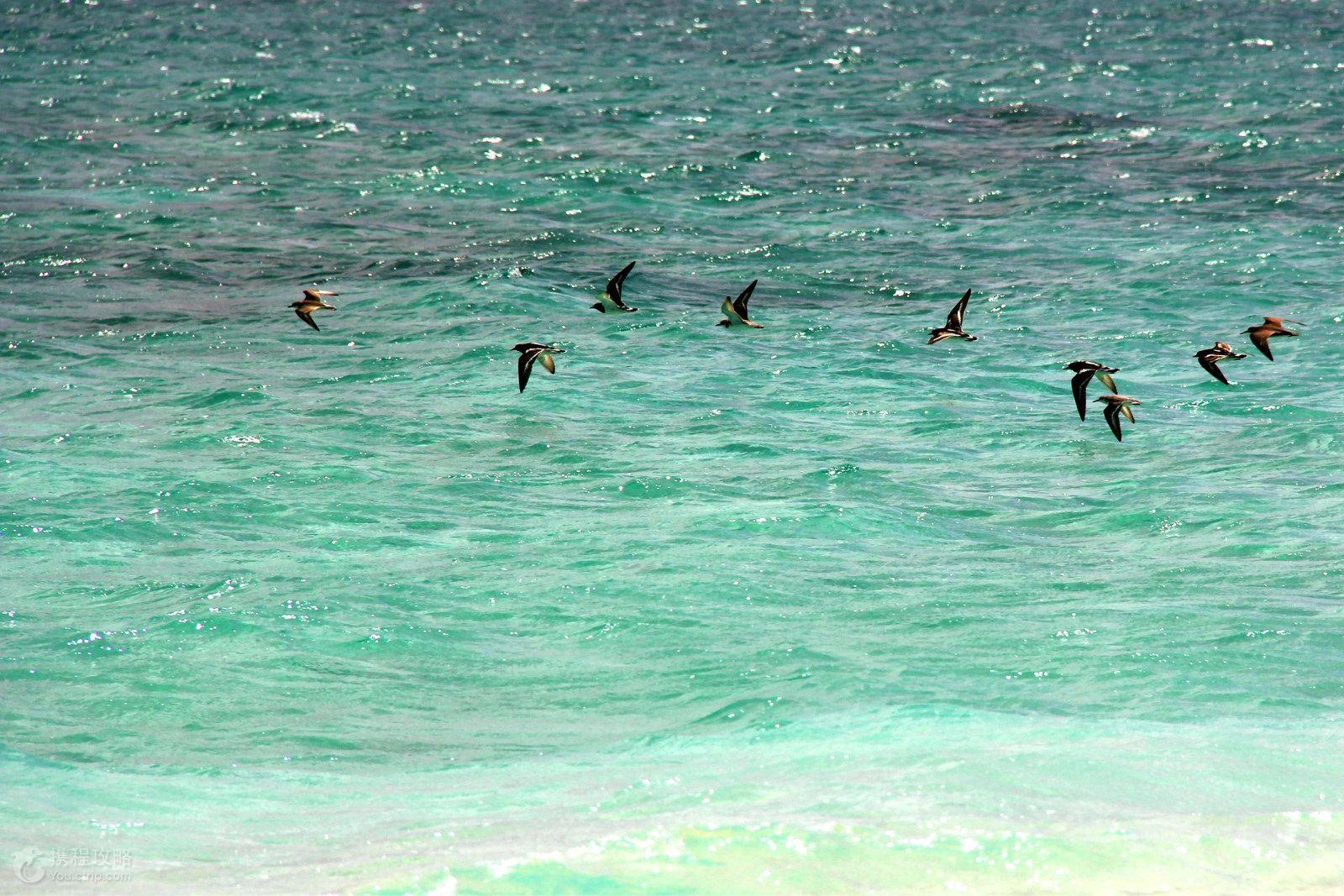 南海各国岛屿控制面积研究，南海各国岛屿控制面积深度研究
