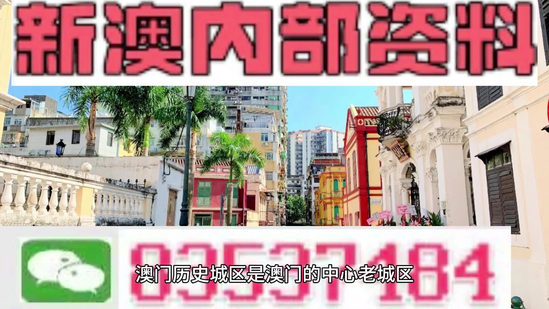 新澳门内部资料精准大全——探索与解读，澳门内部资料深度探索与精准解读
