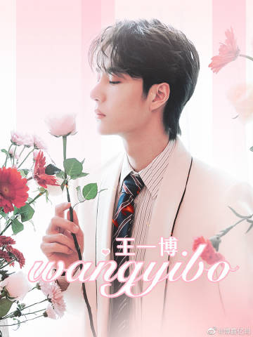 王中王一肖中特的独特魅力与内涵解析，王中王一肖中特的独特魅力深度解析与内涵探讨