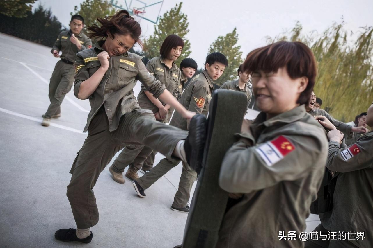 中国女特种兵，神秘而坚韧的存在，中国女特种兵，神秘坚韧的力量