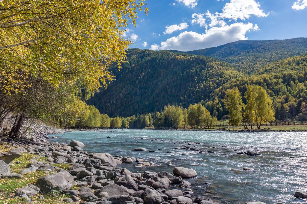 歼-16公开参数详解，歼-16详细参数公开解析