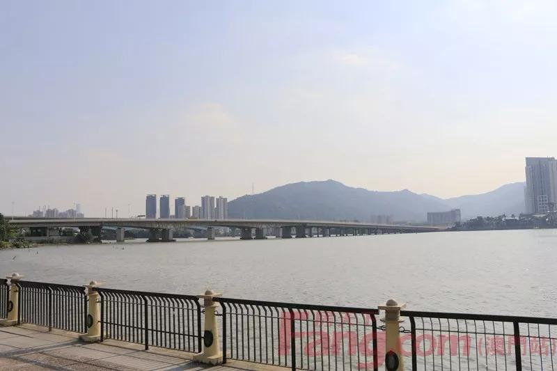 澳门六开奖结果第337期深度解析与预测，澳门第337期六开奖结果深度解析与预测报告