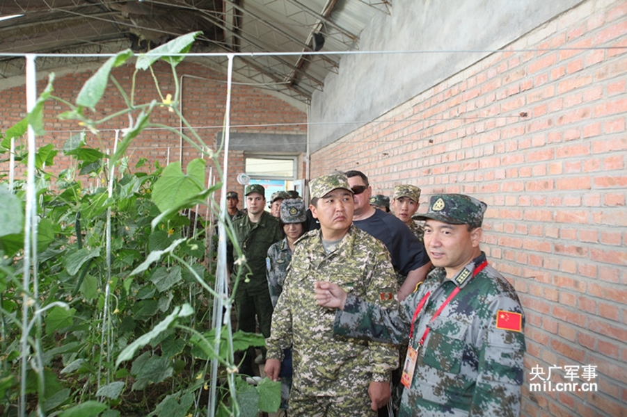 参观朱日和训练基地,深入了解中国国防力量的一角,探访朱日和训练基地,一窥中国国防力量的深邃之处