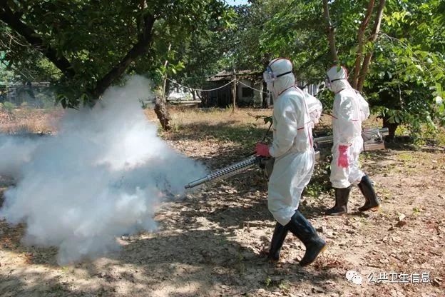 台湾登革热本地病例最新消息及其影响，台湾登革热本地病例最新动态及其社会影响