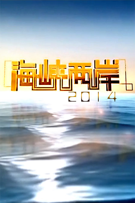 海峡两岸，共融与共赢的历程——回望2014年12月31日，海峡两岸共融共赢历程，回望历史时刻的跨年夜