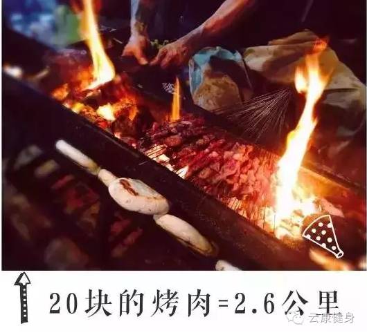 王中王313期指一生肖——探寻神秘生肖文化中的奥秘与魅力,探寻生肖文化魅力,王中王313期揭秘生肖奥秘