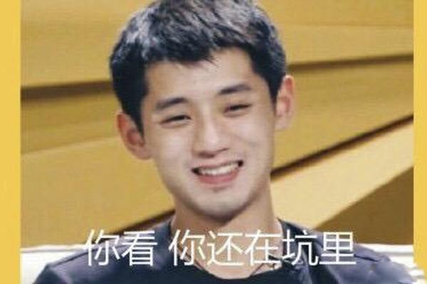 王中王一字解一肖——探寻生肖文化中的奥秘与智慧，生肖奥秘揭秘，王中王一字解一肖的智慧探寻